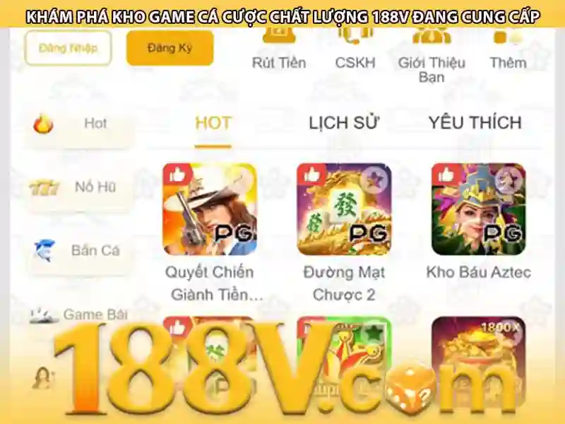 Kết luận